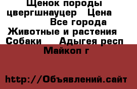 Щенок породы  цвергшнауцер › Цена ­ 30 000 - Все города Животные и растения » Собаки   . Адыгея респ.,Майкоп г.